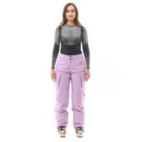 Dragonfly Штаны горнолыжные утепленные Gravity 2025 Woman Purple в Санкт-Петербурге